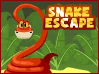 Snake Escape background