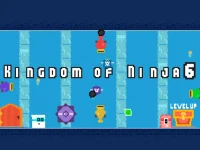 Kingdom of Ninja 6 background
