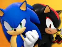 Sonic Memory Challenge background