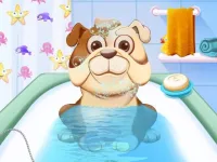 Animal Daycare background