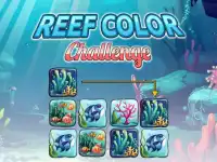 Reef Color Challenge background
