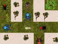 Spider Defense background