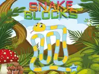 Snake Blocks background