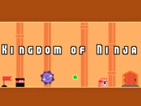 Kingdom of Ninja background