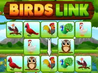 Birds Link background