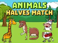 Animals Halves Match background