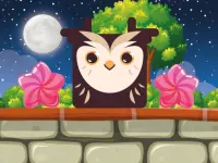Owl Block background