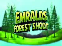 Emralds Forest Shoot background
