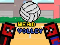 Head Volley background