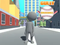 Gully Baseball background