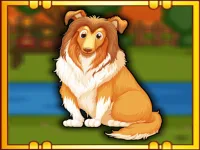 Bernese Mountain Dog Escape background