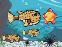 Run Fish Run background
