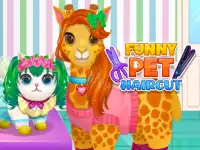 Funny Pet Haircut 2 background