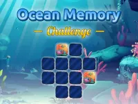 Ocean Memory Challenge background