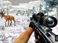 Sniper Hunting Jungle 2022 background