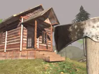 Surviving in the Woods background