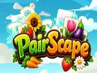 PairScape background
