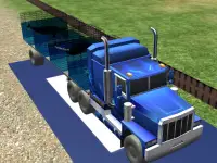 Sea Animal Transport background