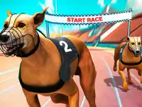 Crazy Dog Racing Fever background