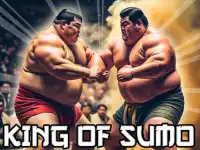 King Of Sumo background