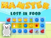 Hamster Lost In Food background