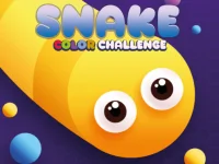 Snake Color Challenge background