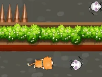 Cat Trap Labyrinth Escape background