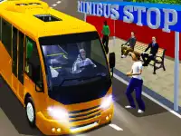 City Minibus Driver background