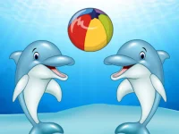 Dolphin Show background