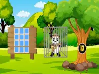 Rescue the Panda Explorer background