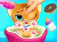 Baby Tiger Care background