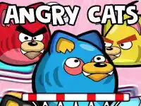 Angry Cats background