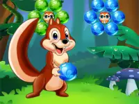 Bubbles Shooter Squirrel background