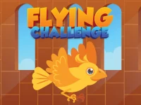 Flying Challenge background