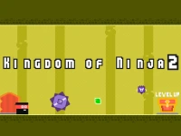 Kingdom of Ninja 2 background