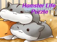 Hamster Life Puzzle background