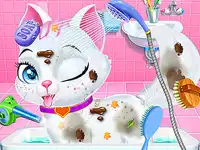 Baby Animals Pet Vet Care background