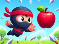 Flip Ninja background