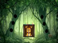 Rescue The Lion Cub background