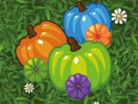 Color Pumpkin Match background
