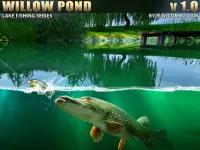Willow Pond background