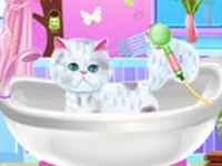 Pet Groomer background
