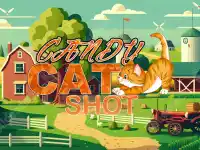 Candy Cat Shot background