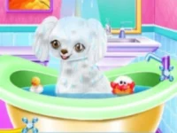 My New Poodle Friend - Pet Care Game background