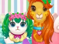Funy Pet Haircut background