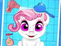 Pet Wash background