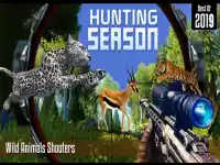 Hunting Season background