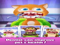 Funny Pet Vet background