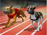 Racing Dog Simulator : Crazy Dog Racing Games background