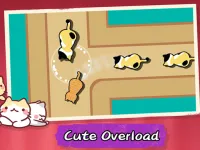 Cat Freeway background